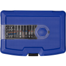 Projahn COLOR Bit-Box mit Ratschenschraubendreher inkl. Bitfach 6,3 (1/4&quot;) 60-teilig