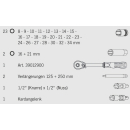 Projahn Industrie-Steckschl&uuml;ssel-Koffer metrisch 12,5 (1/2&quot;) 30-teilig